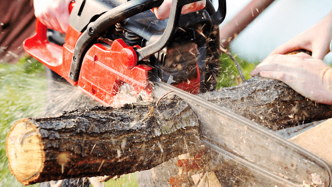 O'Brien Family Tree Service