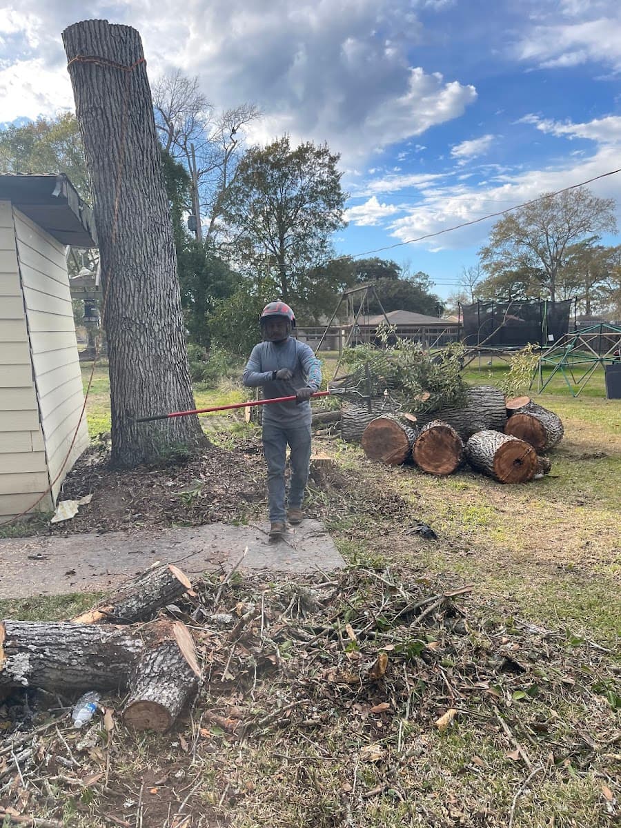 Good hands Tree service