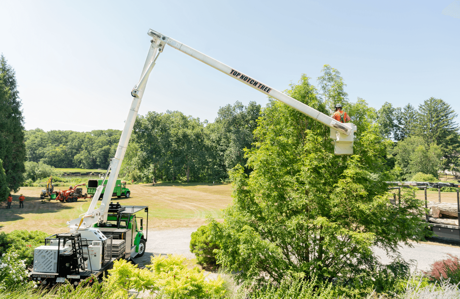 Top Notch Tree, Inc.