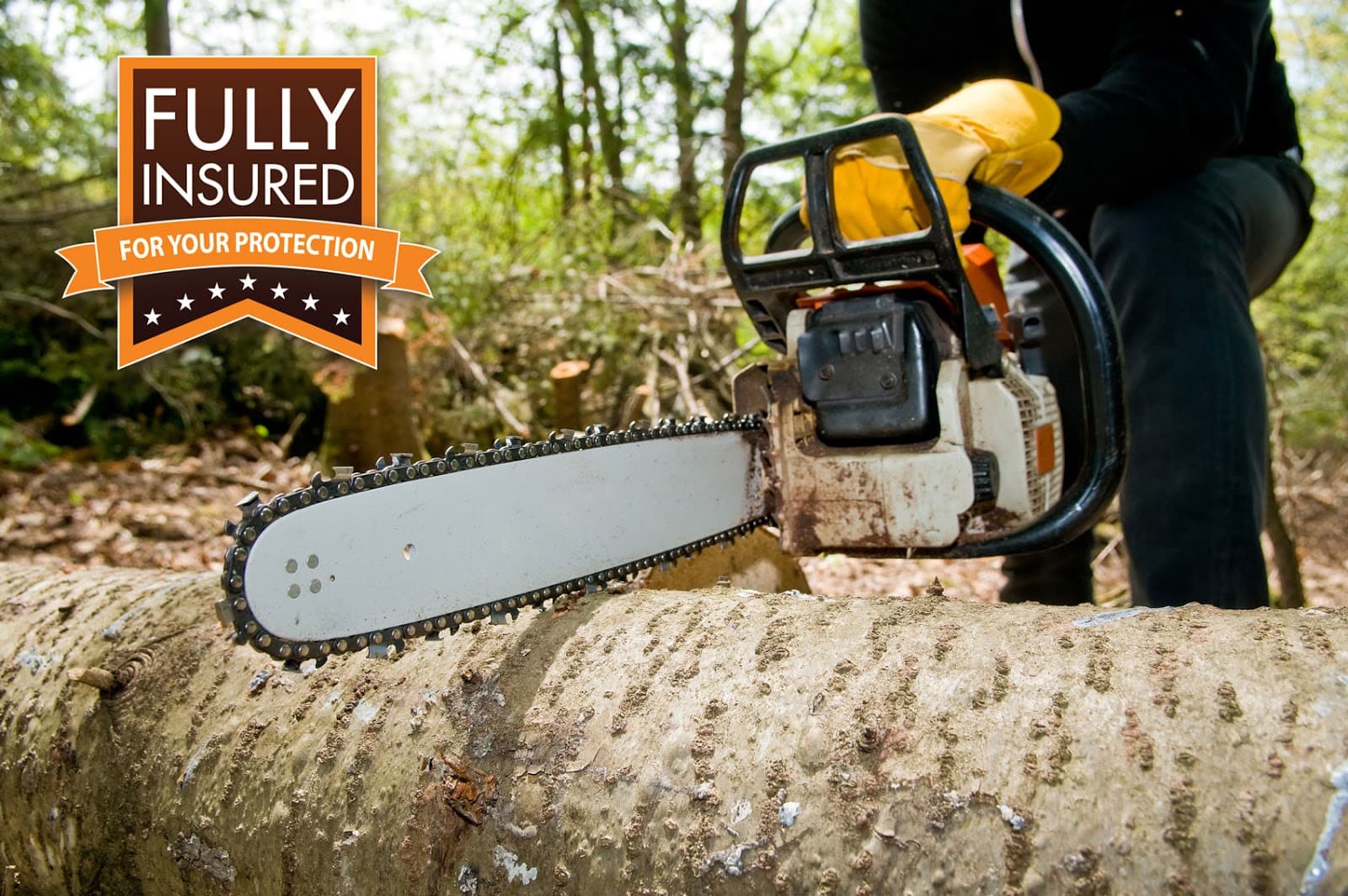 Monarch Tree Service ATX