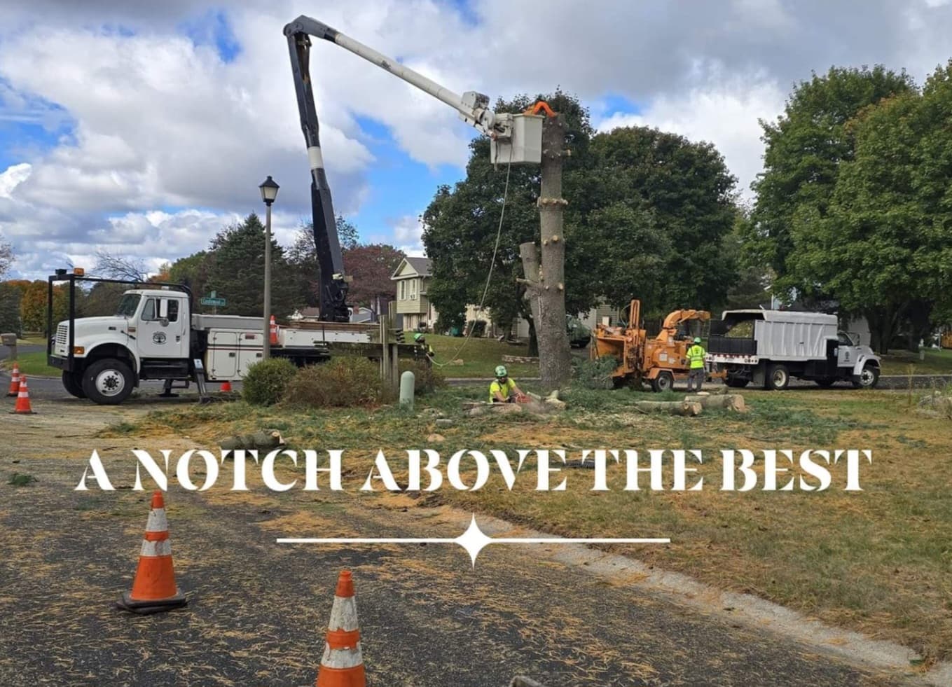 McFadden Tree Service LLC