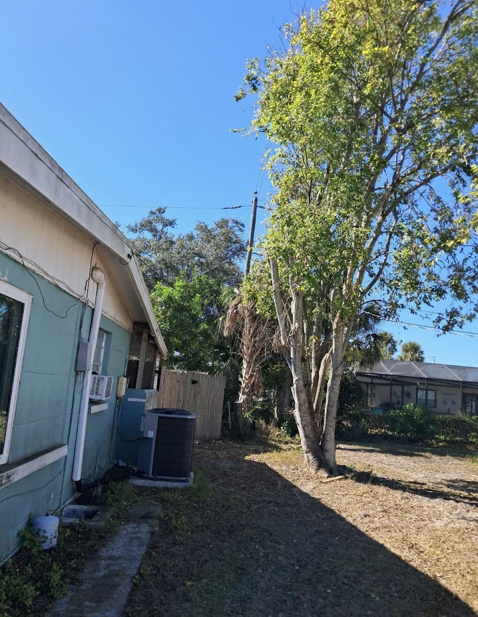 Elite Quality Tree & Stump-Grinding Llc