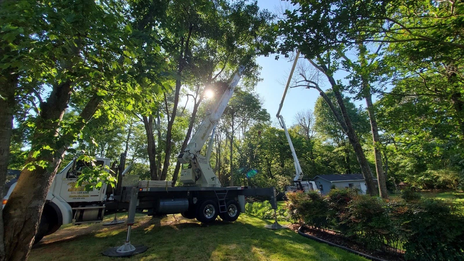 Trees Are Us, Carolina Tree Service, Alamance Gaddy Tree Service