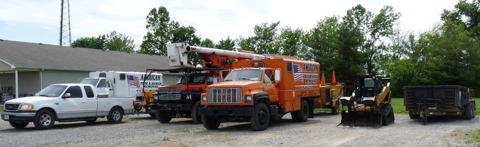 American Tree Doctor, LLC