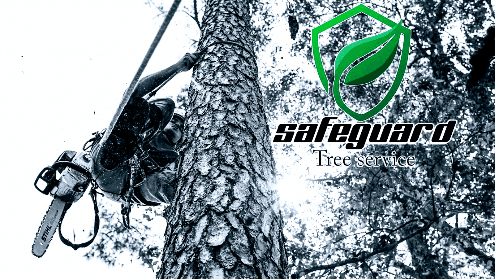 Safeguard Tree Service