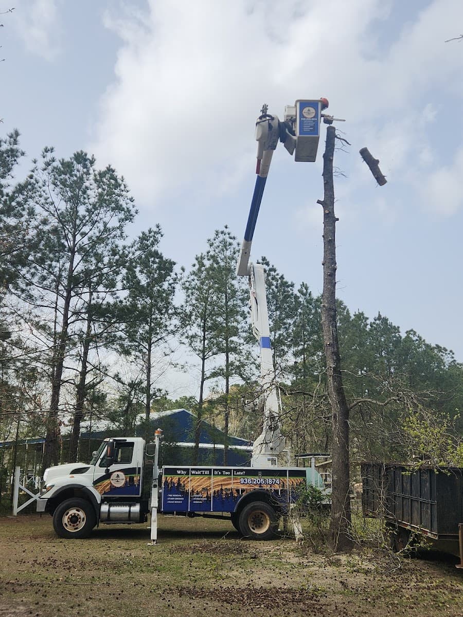 Wilson Fellers Tree Service