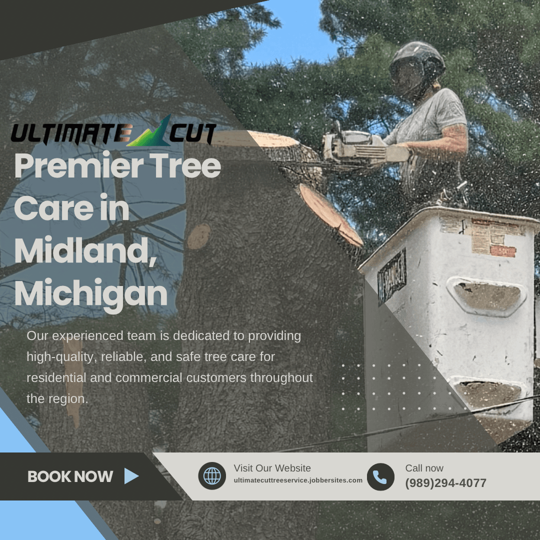 Ultimate cut tree service
