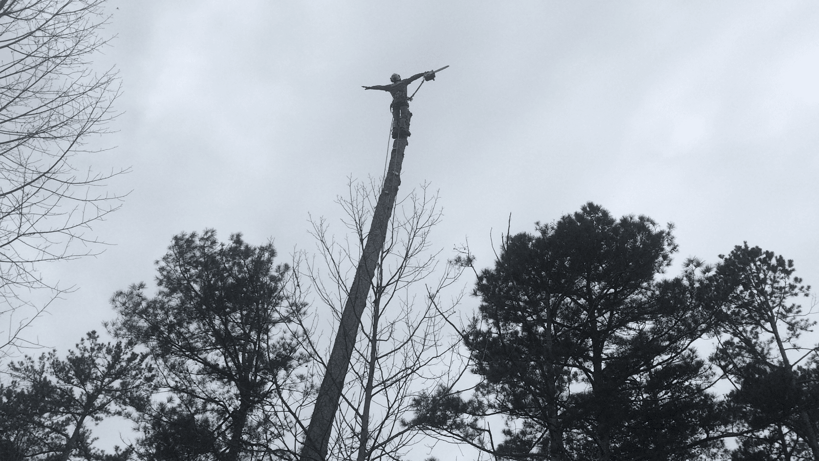 Rusty'S Tree Care LLC