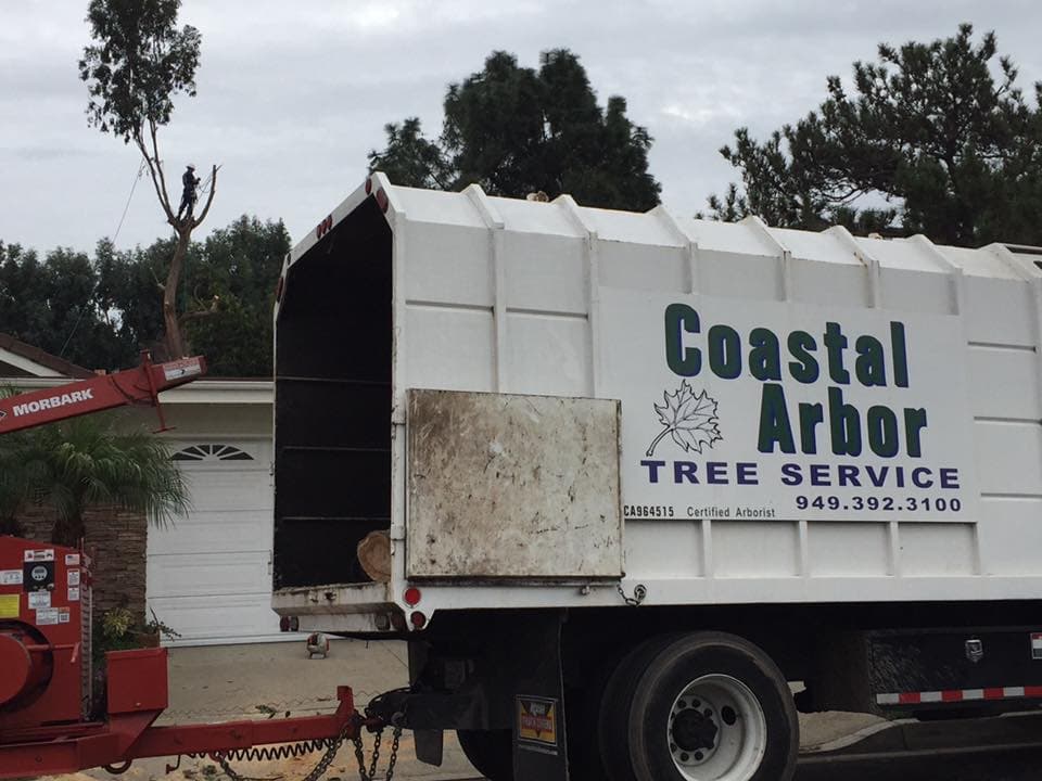 Coastal Arbor Tree Service Inc