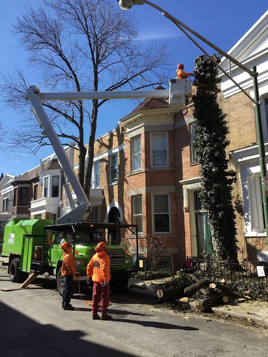Phenomenal Tree Service