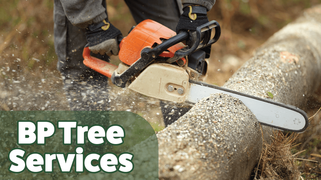 BP Tree Services LLC