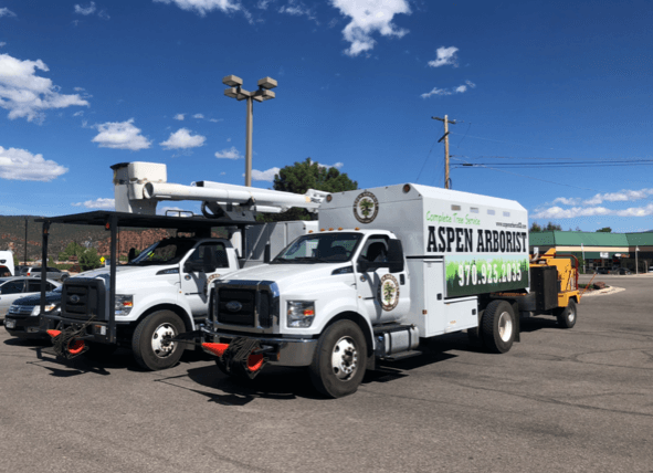 Aspen Arborist