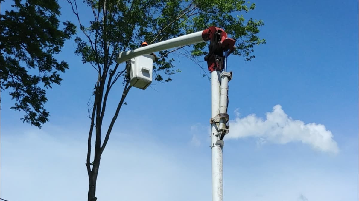 Timber Pros Tree Service