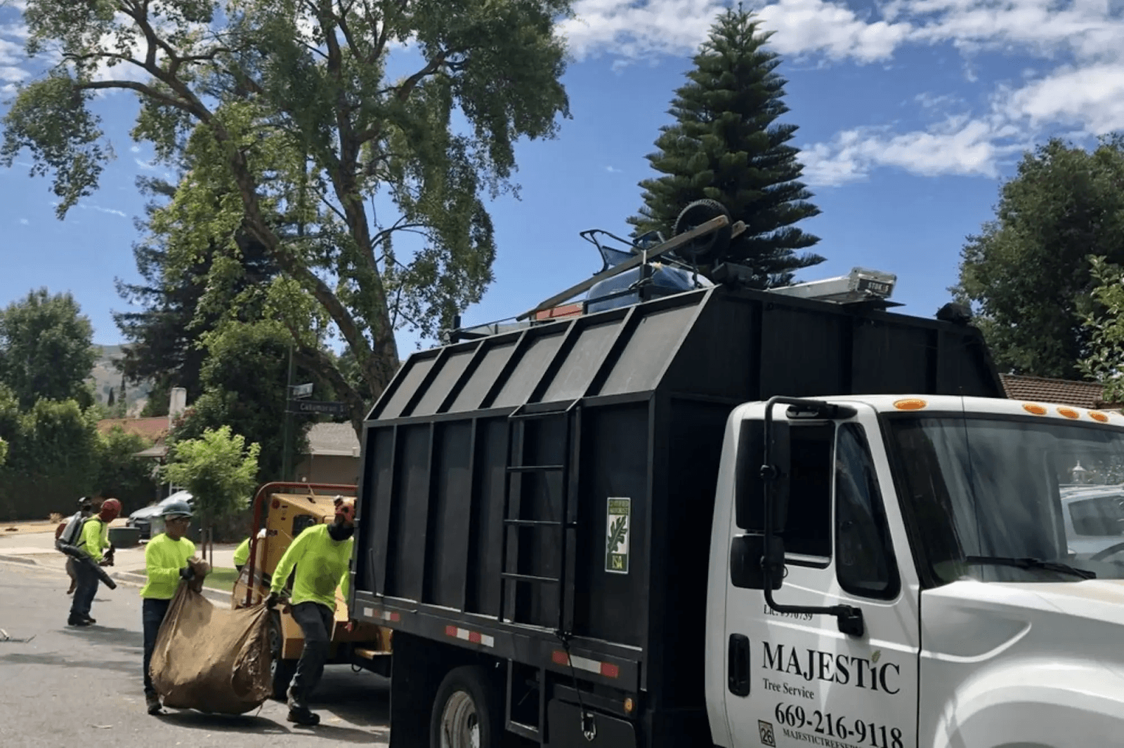 Majestic Tree Service