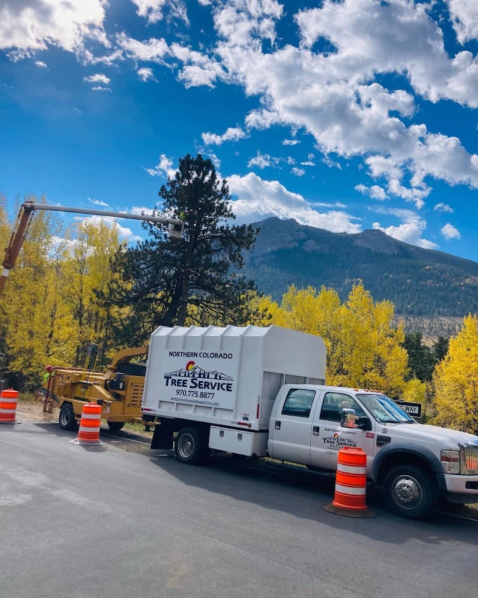 Northern Colorado Tree Service