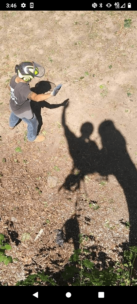 Arborpro Tree Service LLC