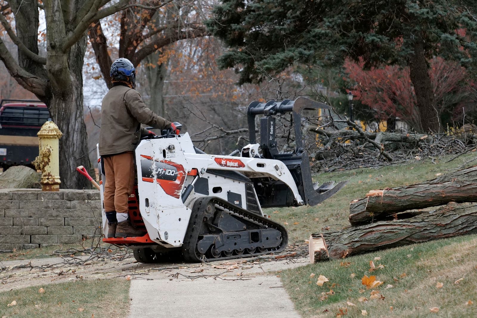 Easy Eddy's Tree Service