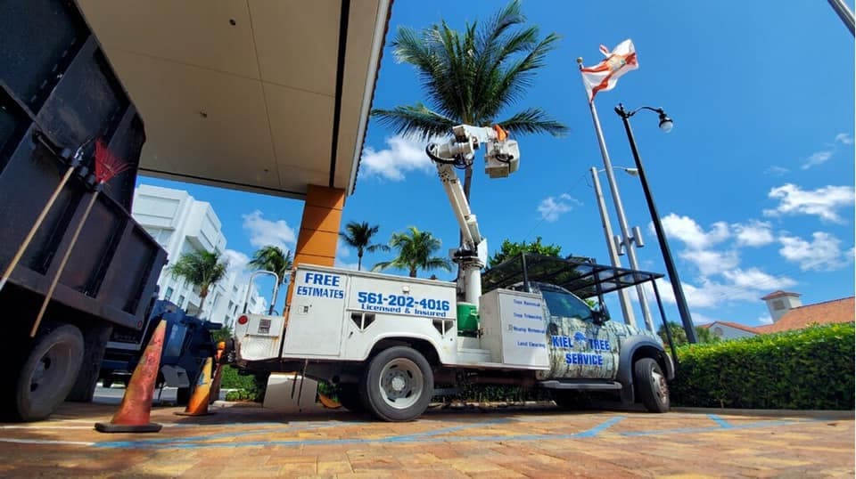 Kiel Tree Service Inc.