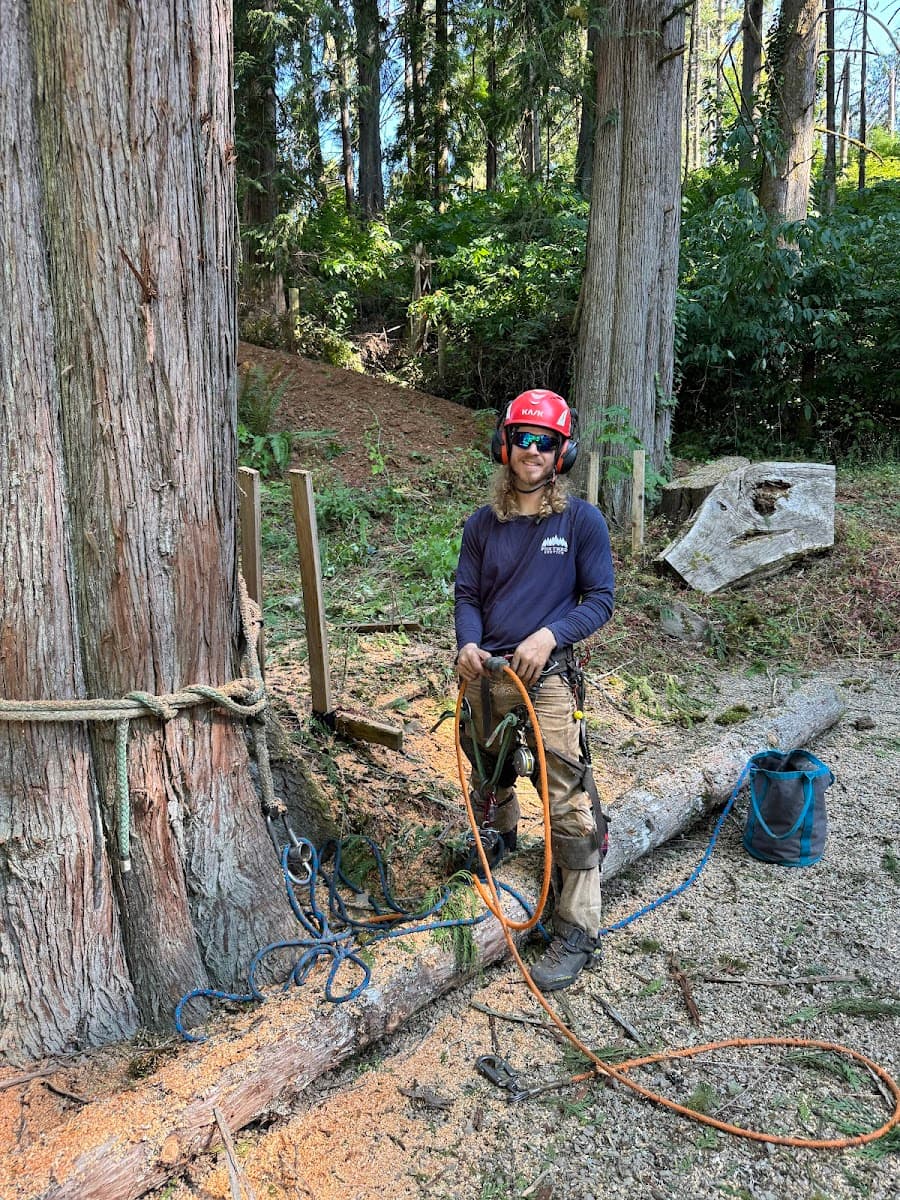 PDX Tree Service, Inc.