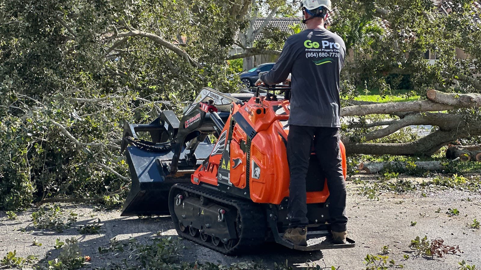 Go Pro Professional Tree Care Inc.