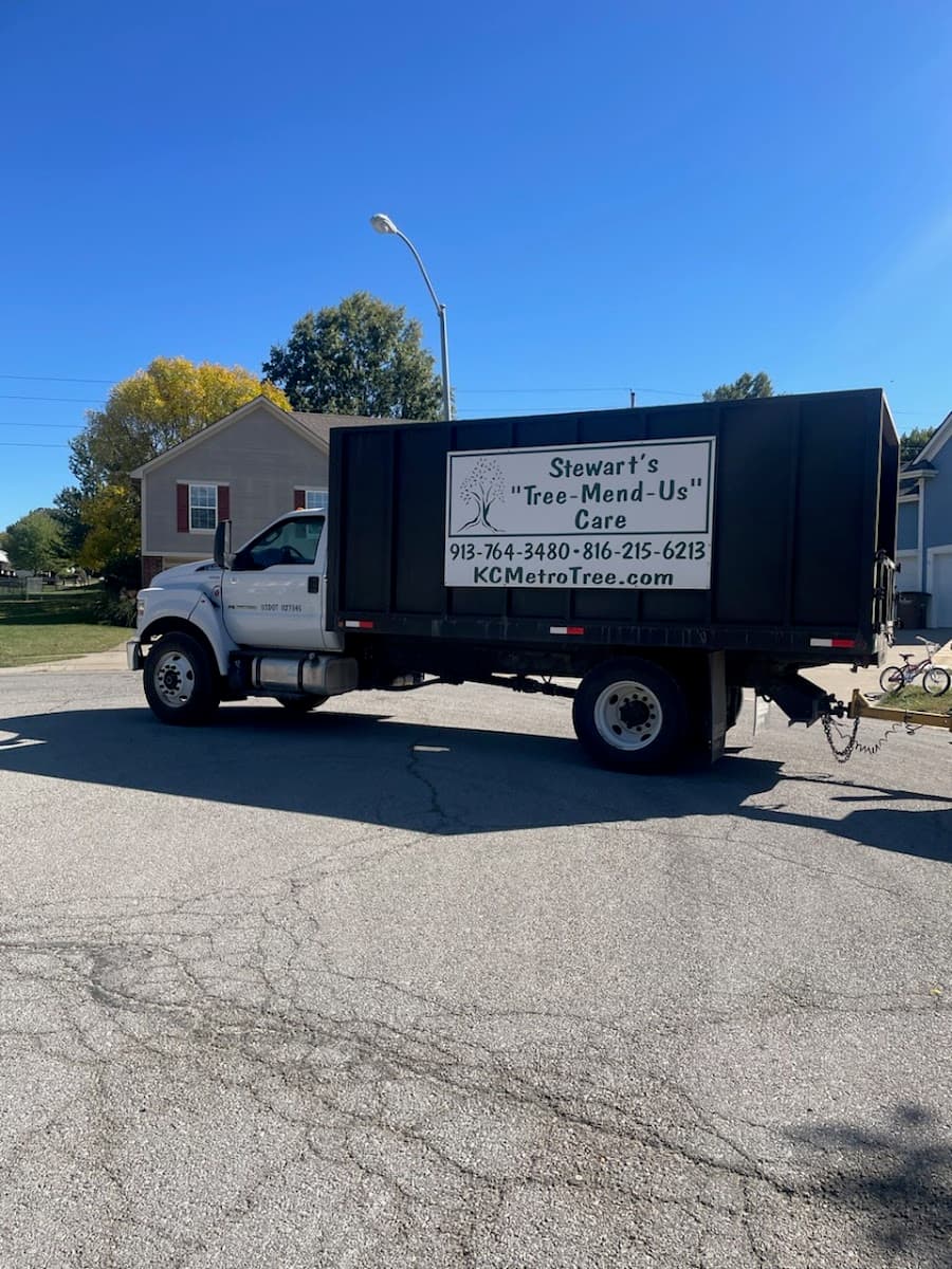 Stewart's Tree Mend Us Care