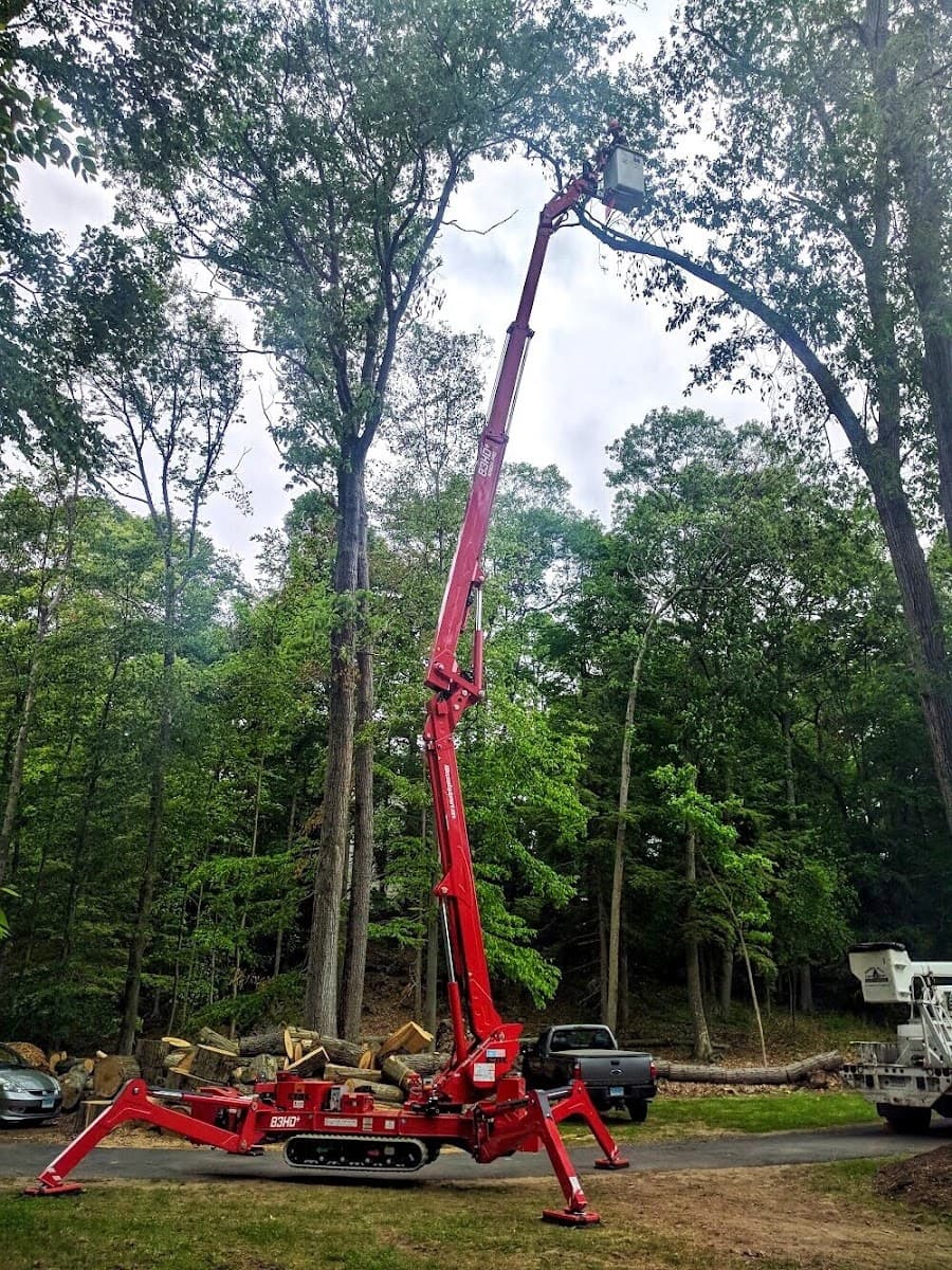 KD Tree Service Rochester NY