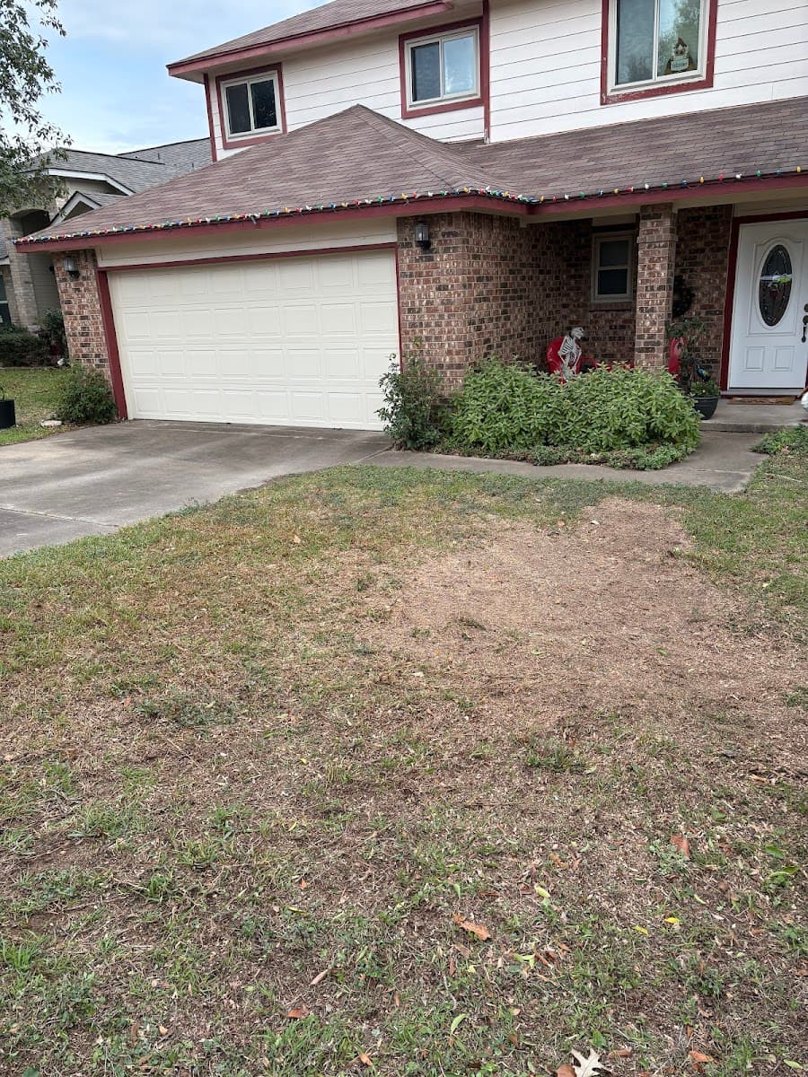 Ramirez Tree Service 512