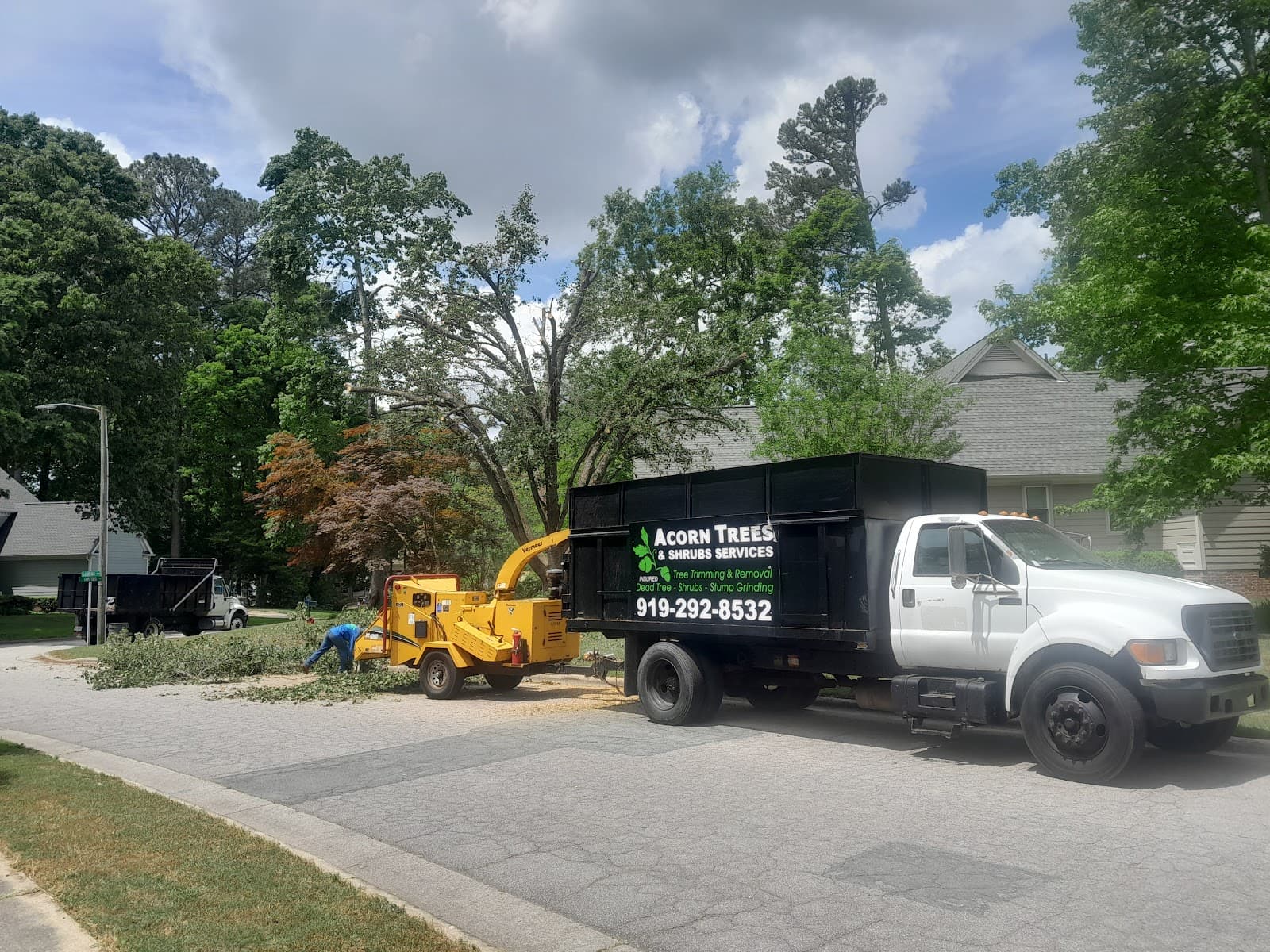 Acorn Tree & Shrubs Services LLC