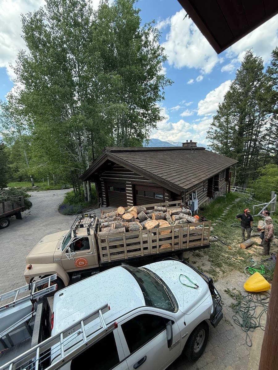 Vertical Services LLC