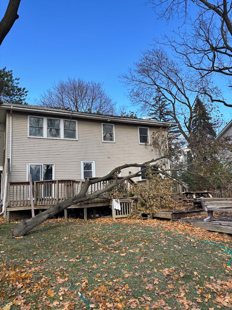 NetZero Tree & Lawn Care