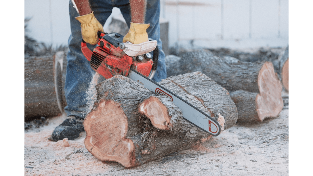 Tr﻿ee Ser﻿vice﻿ Cupertino