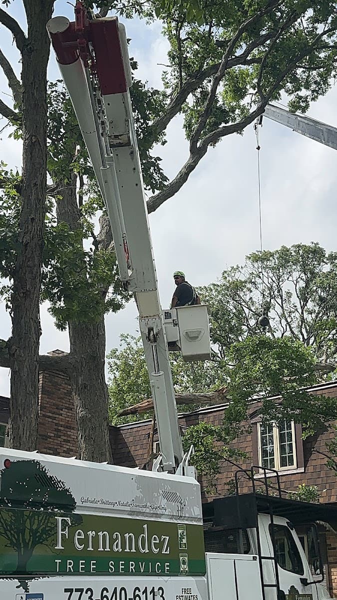 Fernandez Tree Service, Inc.