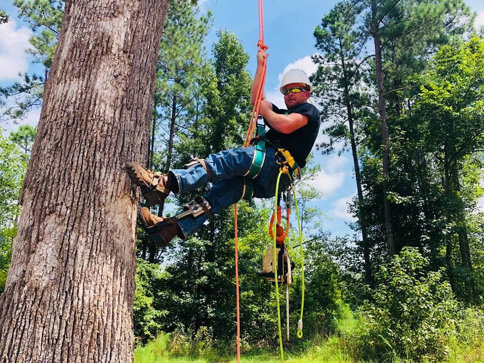 Rice's Outdoor Services