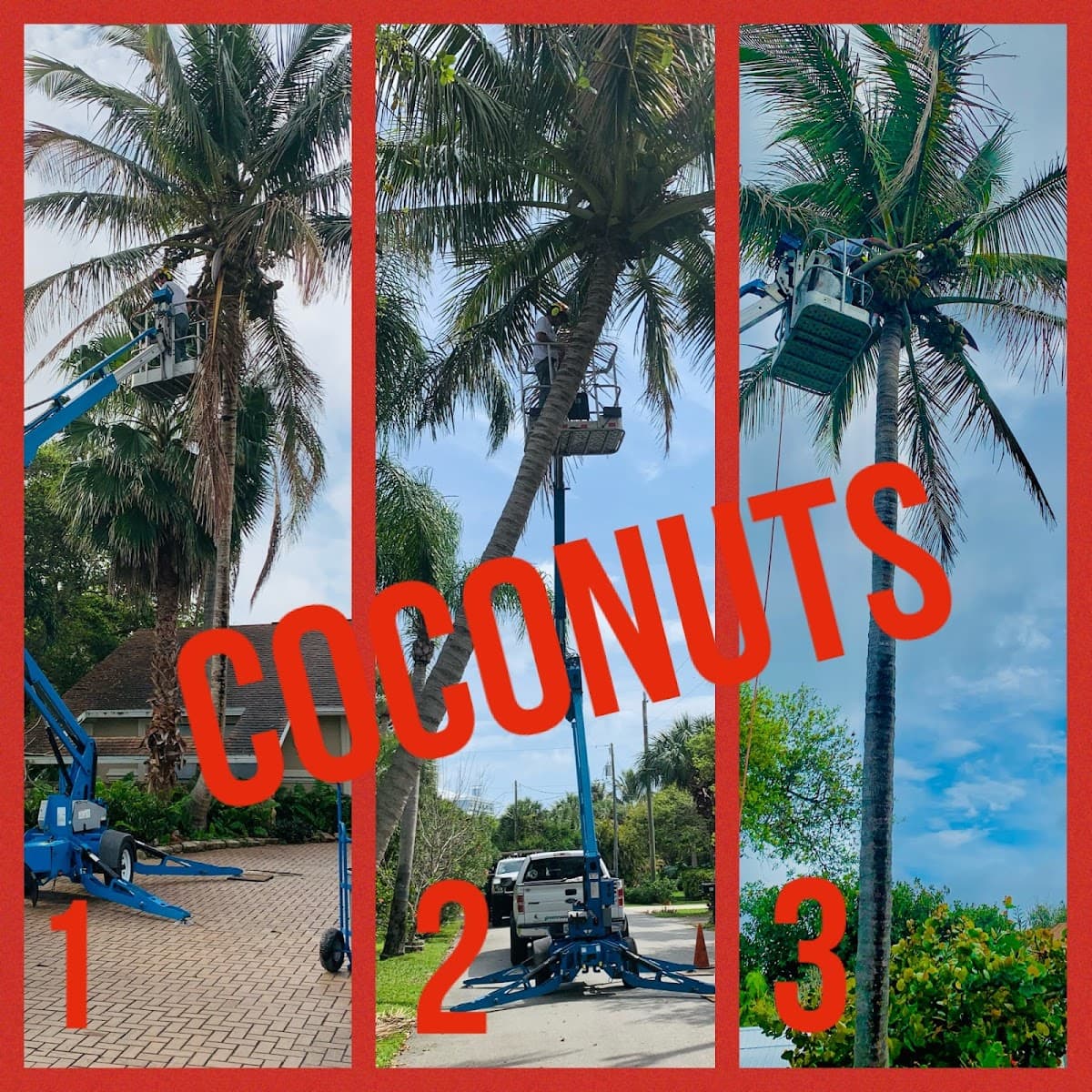 Green Room Tree Care