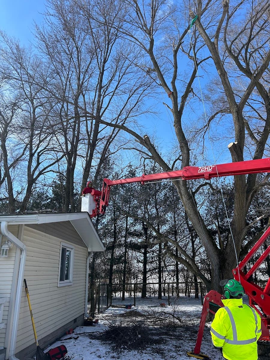 Hoosier Stump Remover