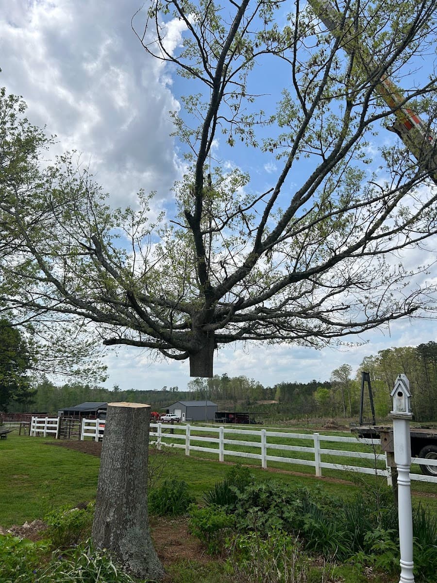 No-Shade Tree Service