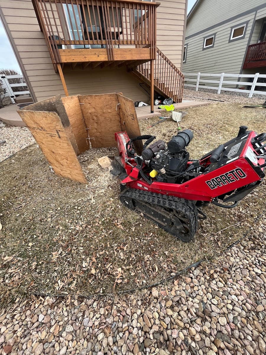 Oasis Tree & Landscaping Services, LLC