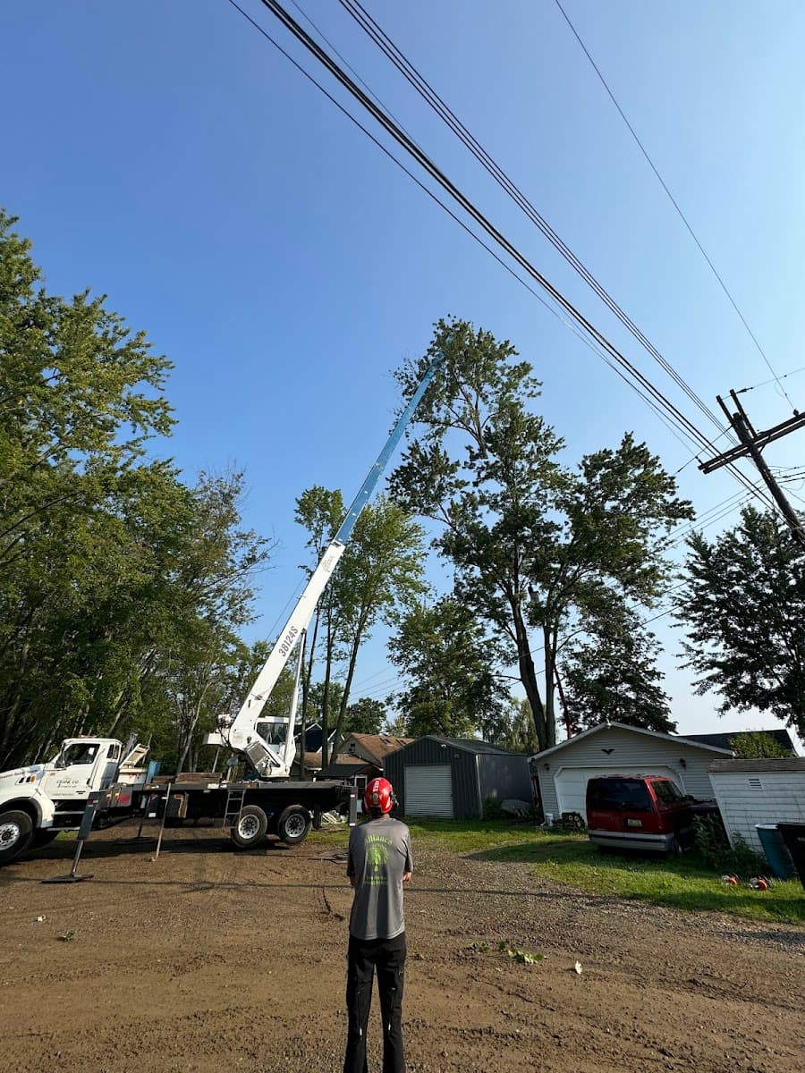 Alliance Tree Service