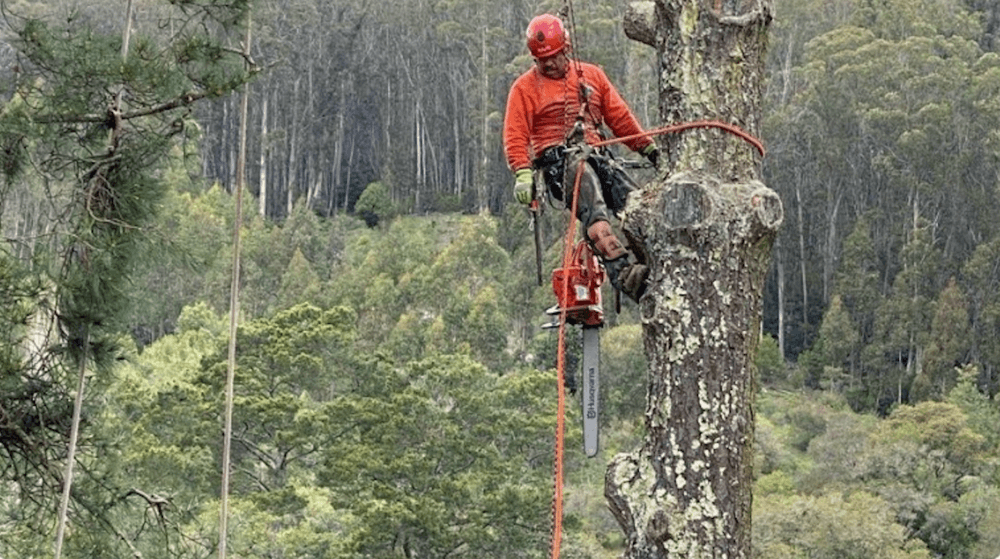 BOB'S FIRESAFE TEAM (TREE SERVICE)