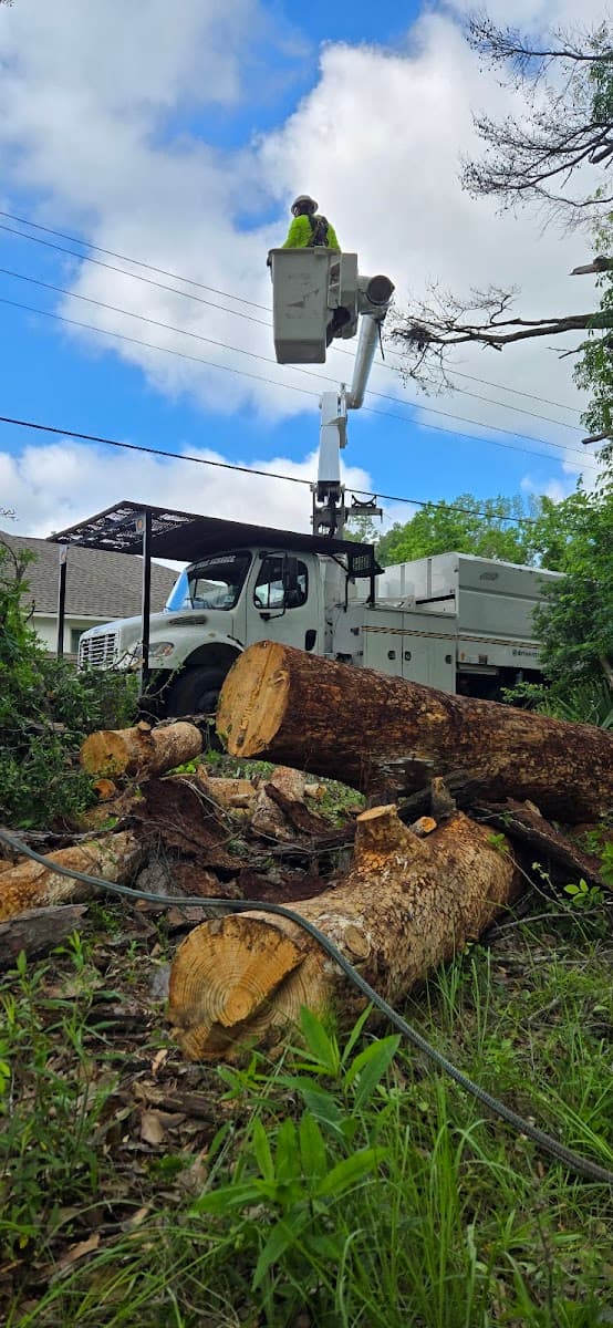 Superior tree services LLC