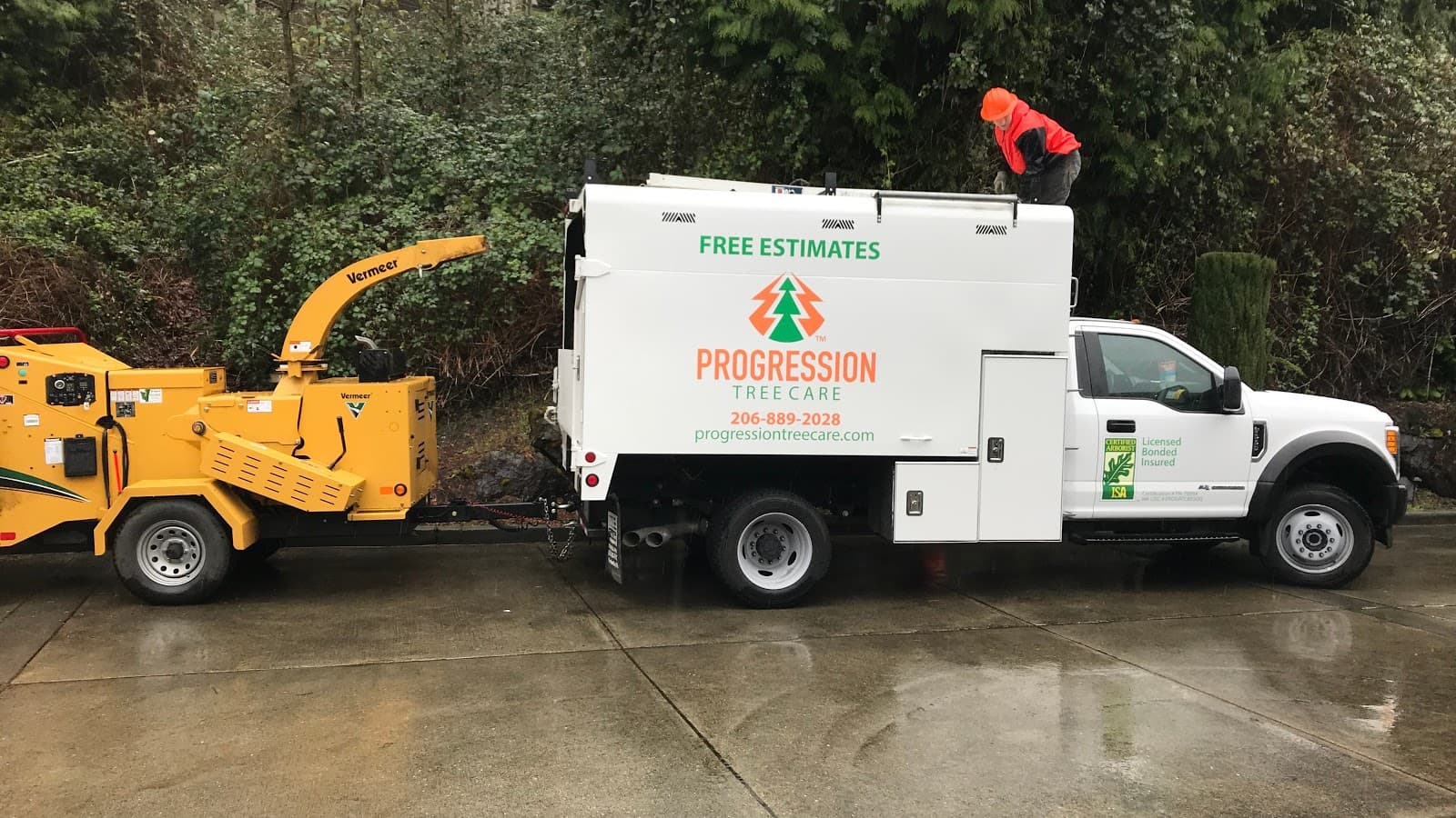 Progression Tree Care