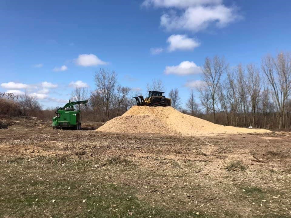 Clemons Tree Service