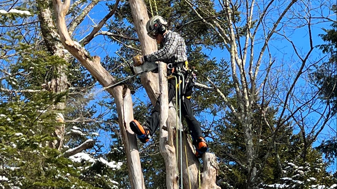 Jon's Tree Service, LLC