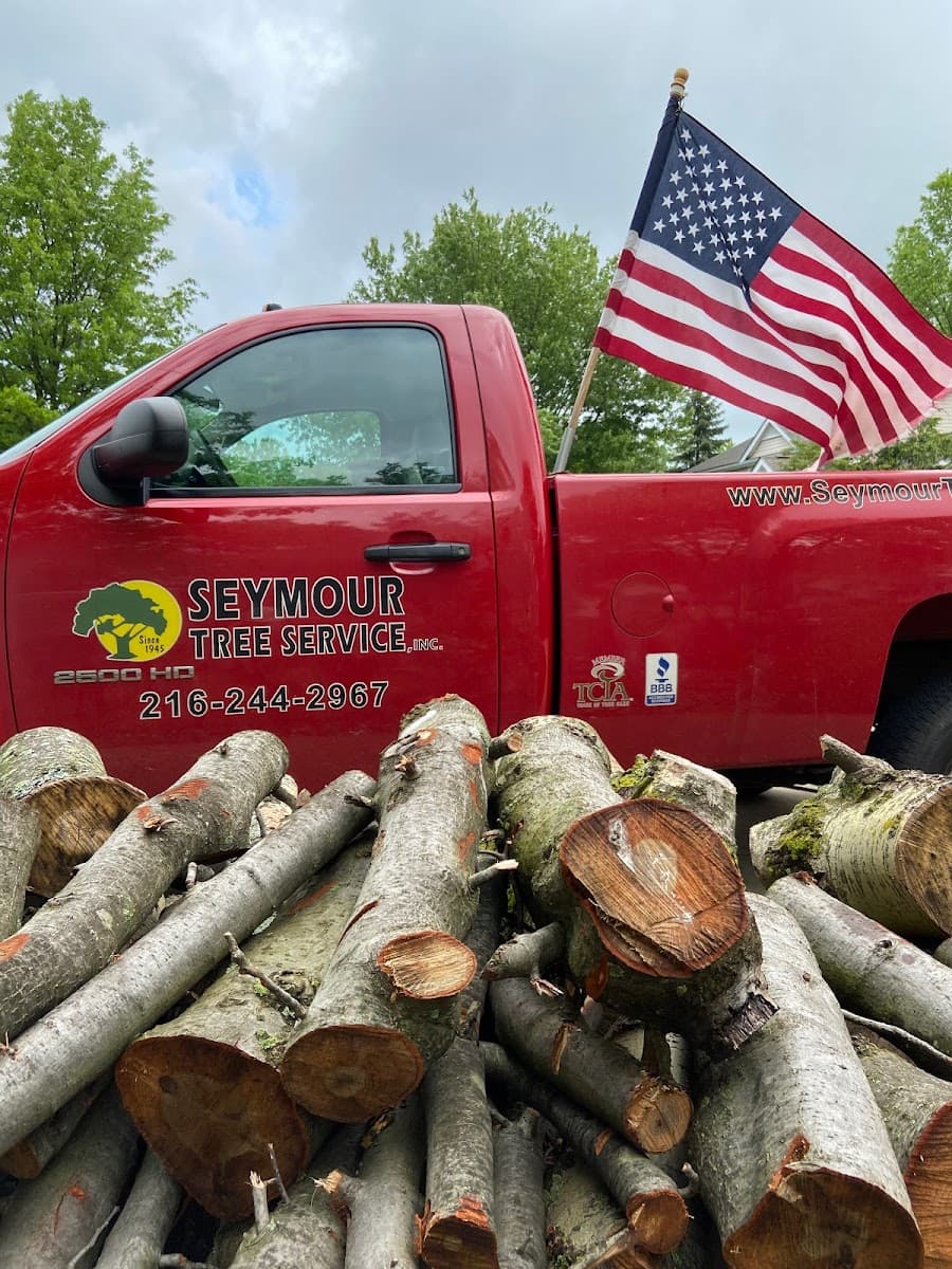 Seymour Tree Service