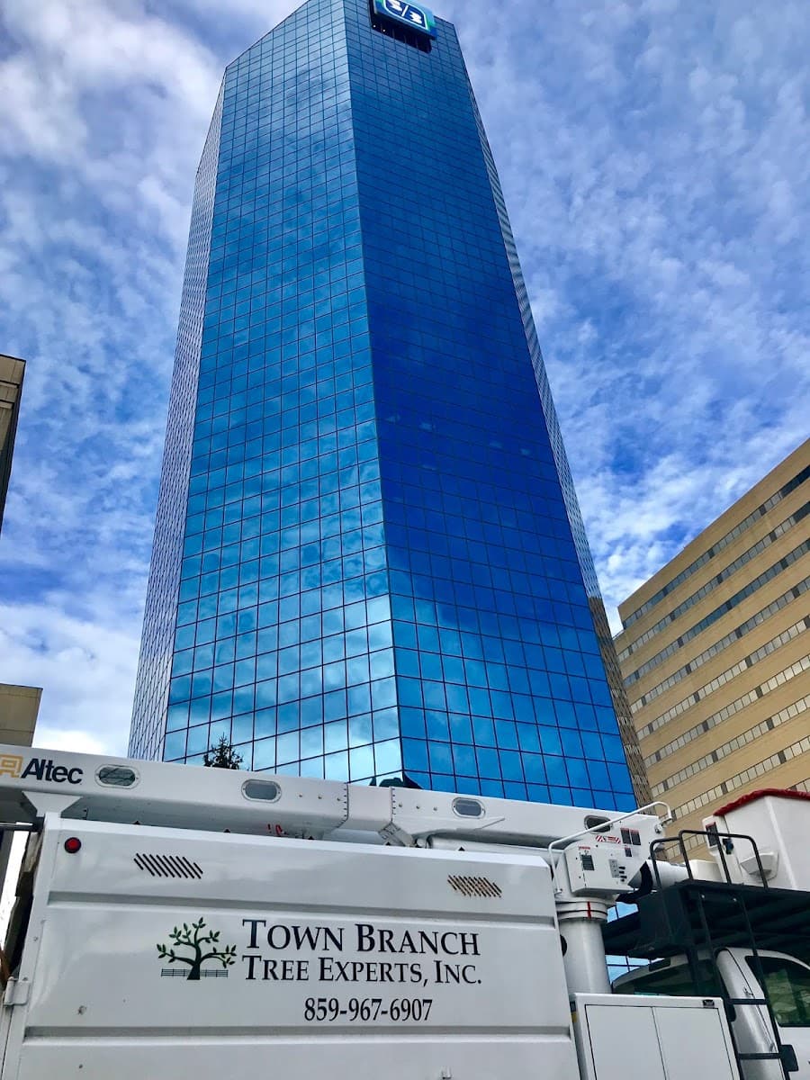 Bartlett Tree Experts