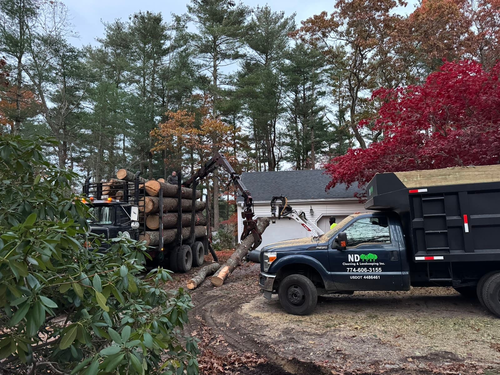 ND Cleaning & Tree Service Inc.