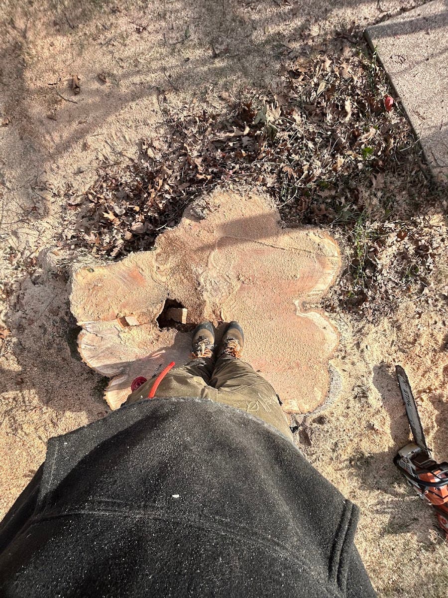 Earth and Lumber Tree Service LLC