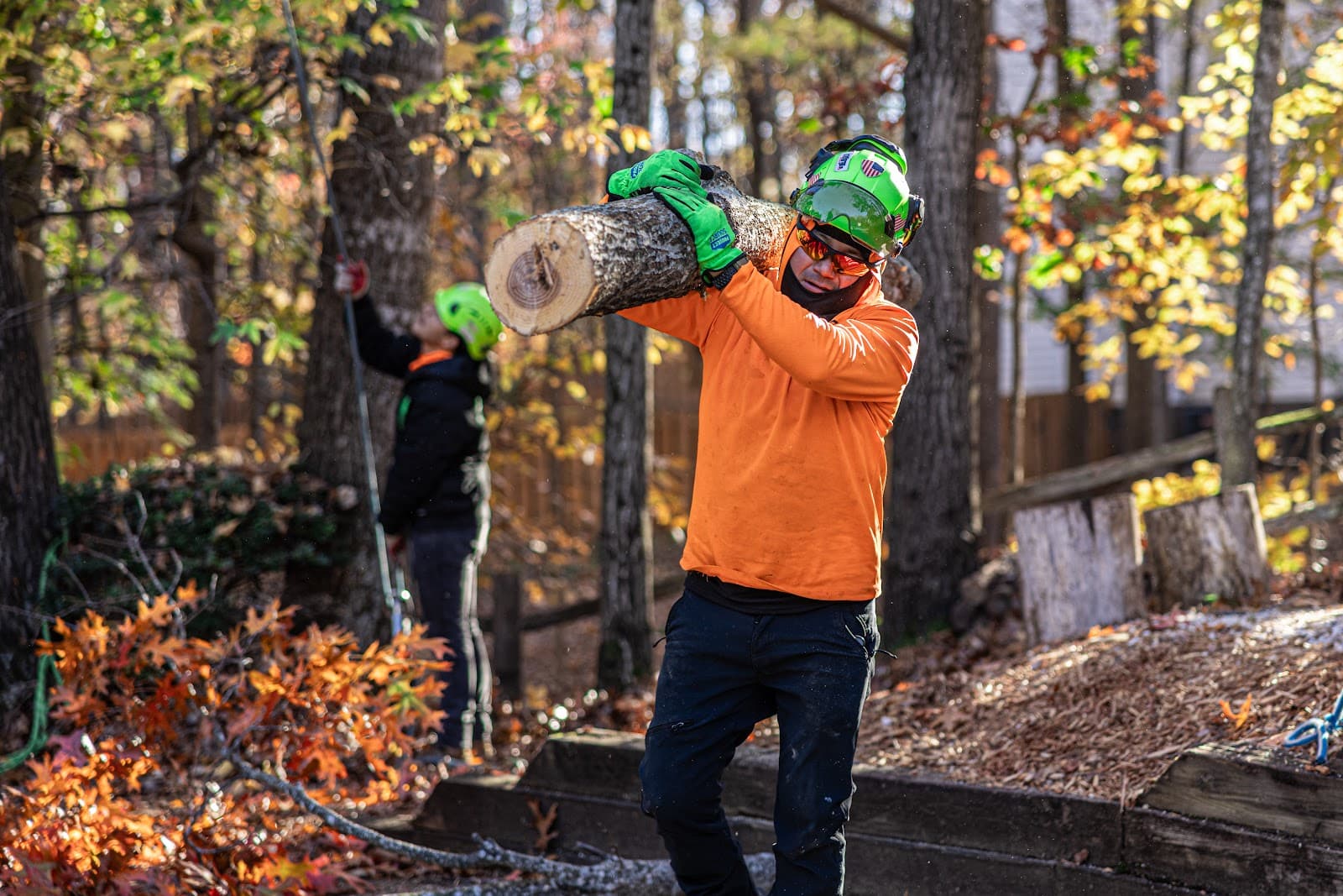 Green Oak Tree Experts