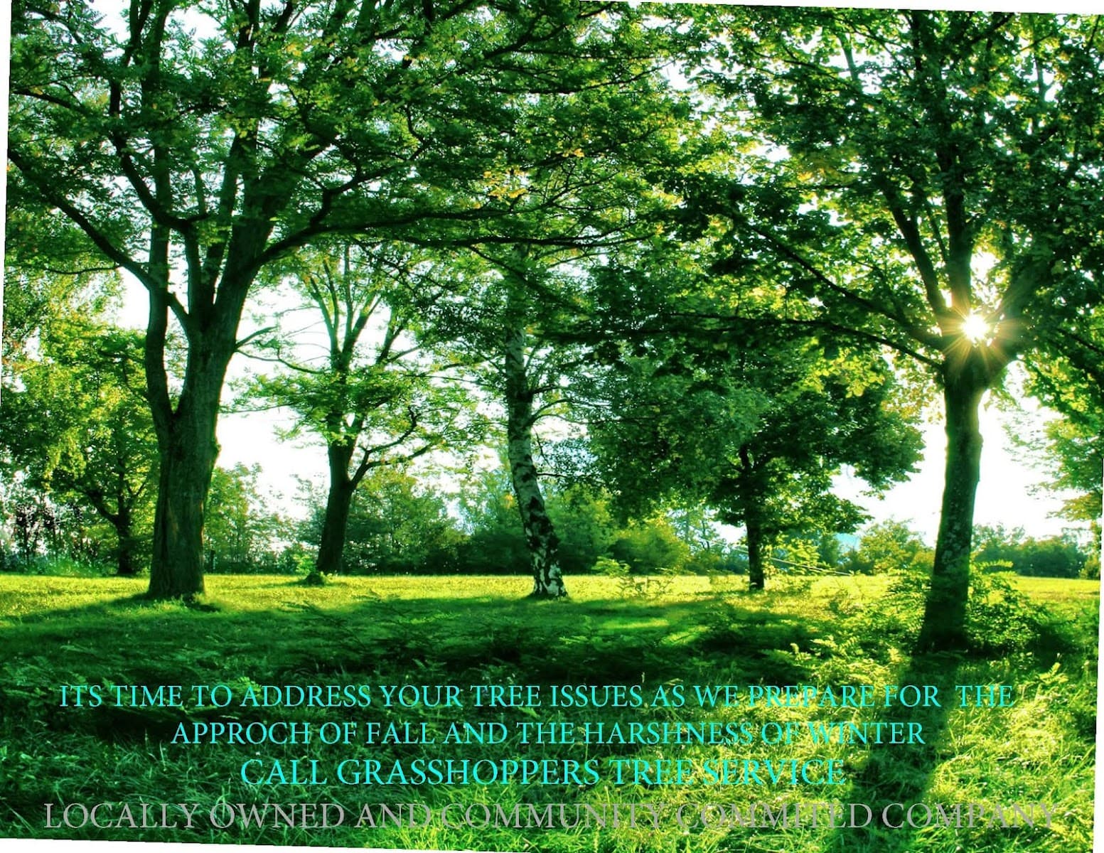 Phil's Grasshoppers Tree Service