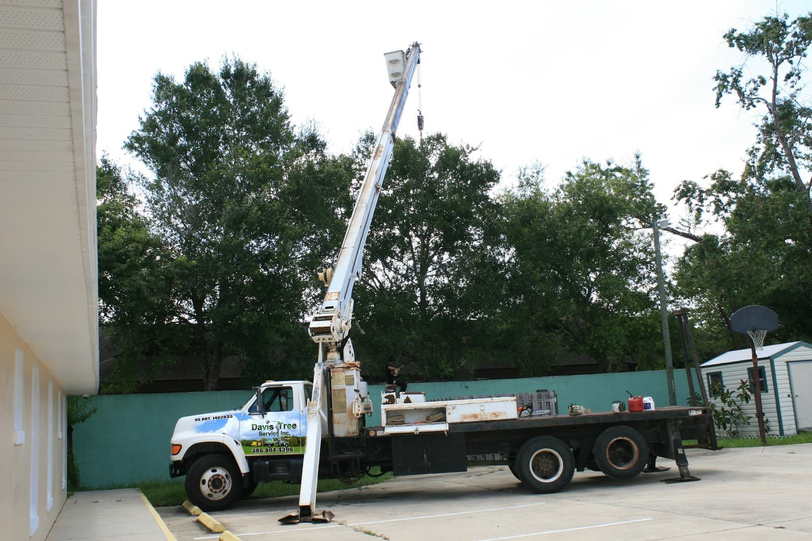 Davis Tree Service, Inc.